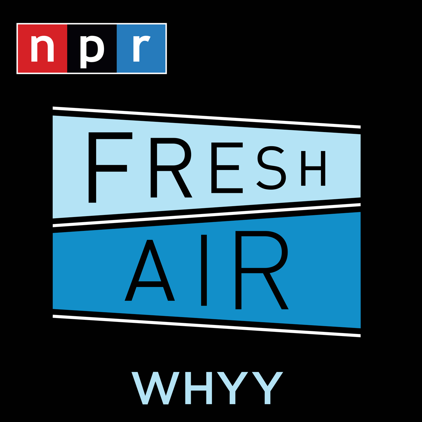 The cover art for Fresh Air. The show's title is written in black text in front of two blue banners.