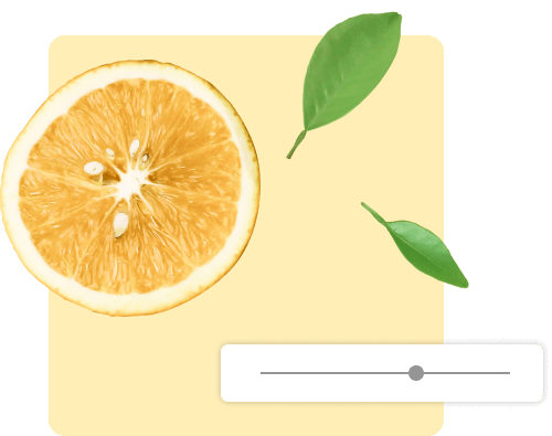 A vast amount of stock images ready for use